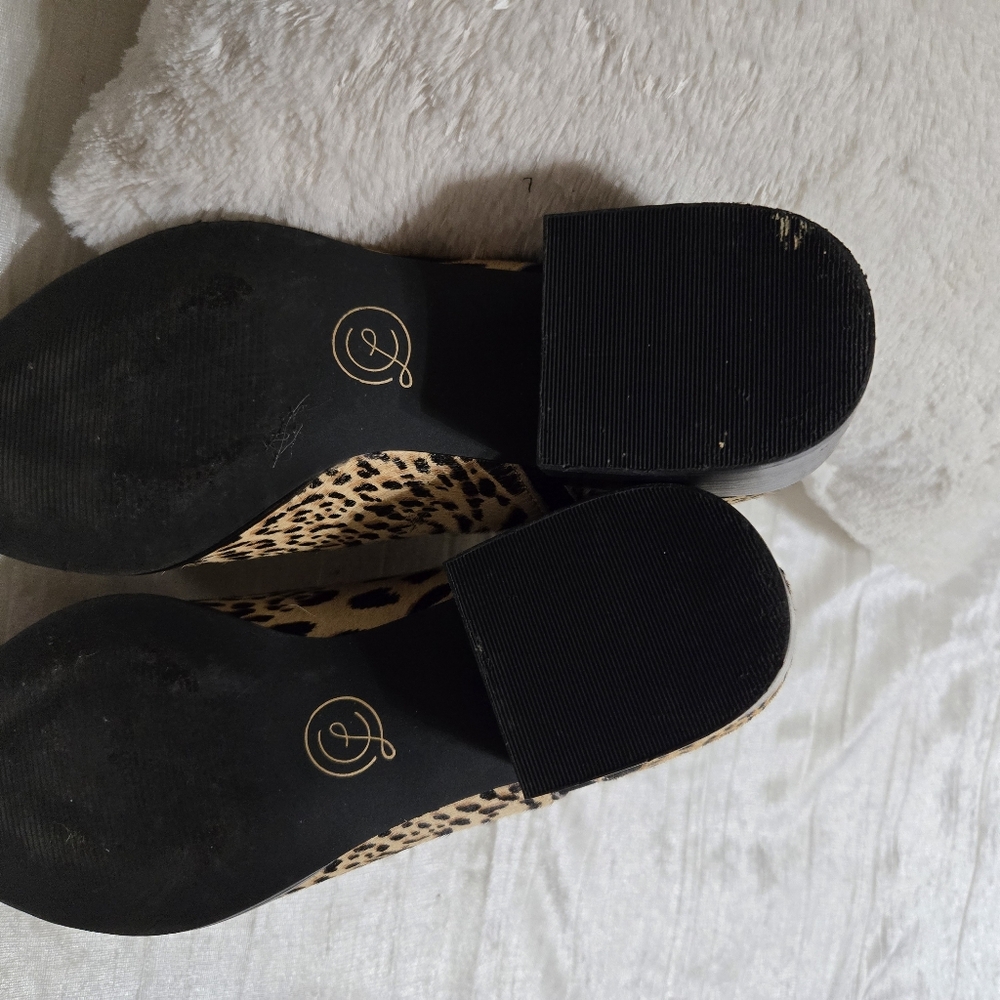 Leopard Print Ankle Boots By Chinese Laundry Size 8 EUC!! - Picture 5 of 8